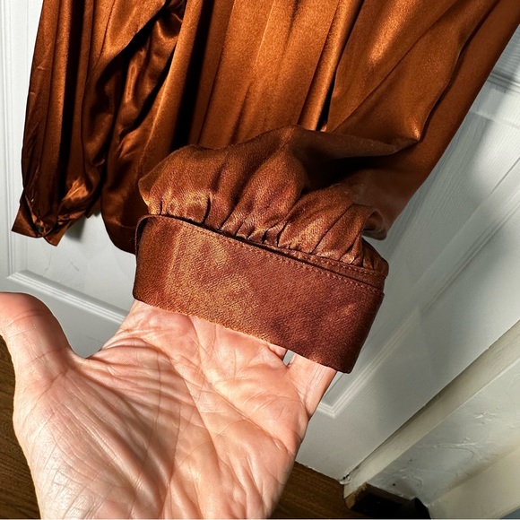 Rails Wynna Satin Blouse Cedar Size L Ruched V-Neck Copper - Picture 5 of 11